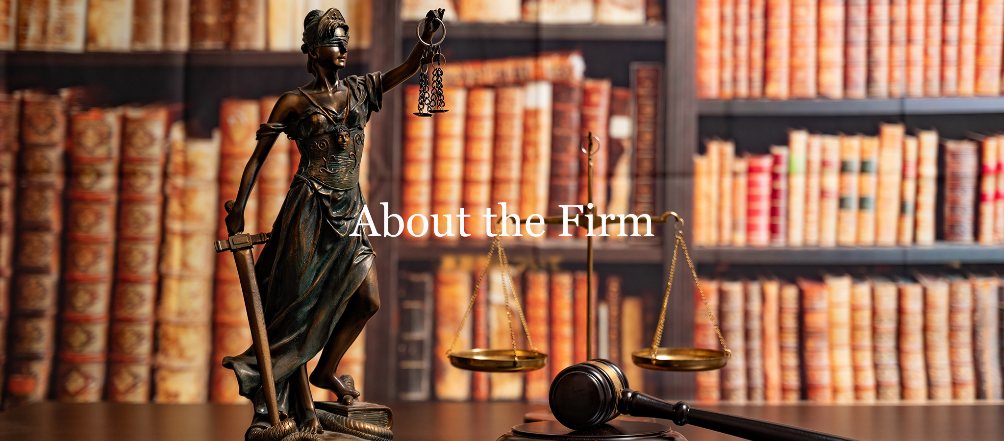 About the Firm